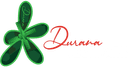 Durana Tech Park CEO